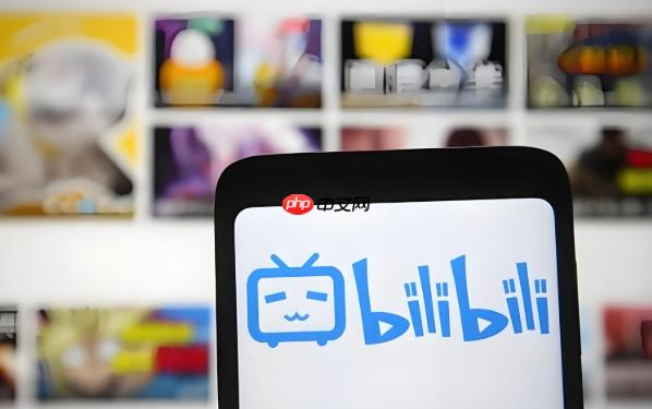 bilibili网页版入口 B站电脑端官网直接看  第1张