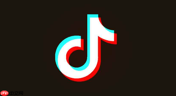 抖音很火的年账单怎么查_流行抖音年账单查询技巧