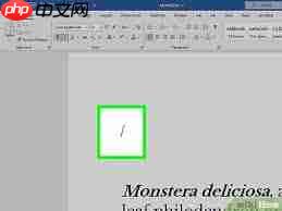 怎样在Word文档里插入地图
