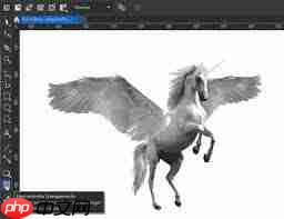 CDR图像怎样做特效  第2张