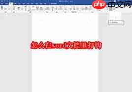 在word文档里如何打钩