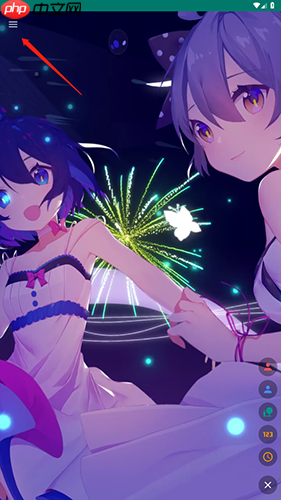 《live2dviewerex》设置壁纸方法