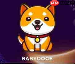 babydoge币未来潜力如何  第3张