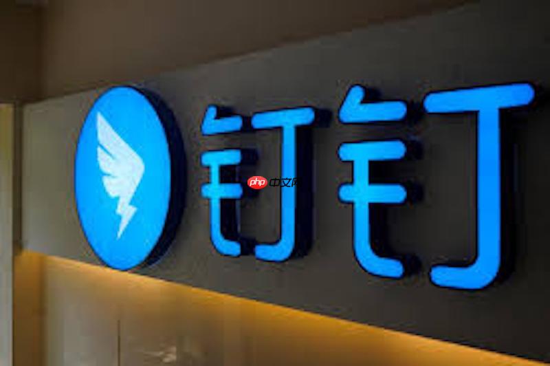 钉钉视频会议画面卡顿如何处理 钉钉视频会议优化技巧