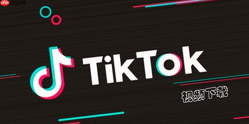 Tiktok国际版在线入口 免费网页版入口链接