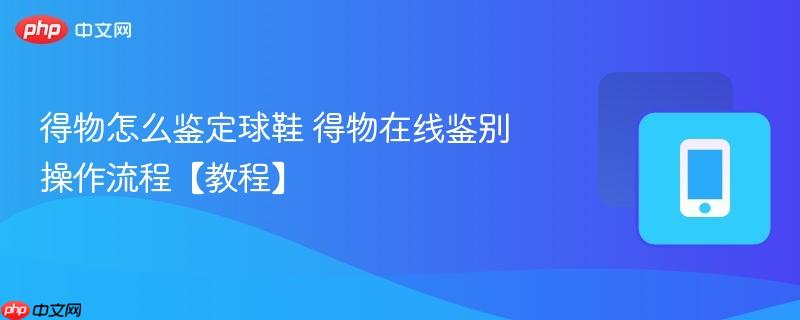 得物怎么鉴定球鞋 得物在线鉴别操作流程【教程】