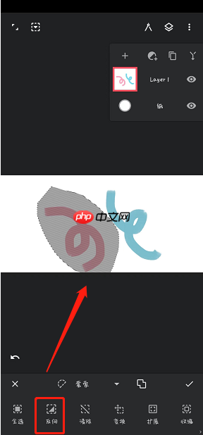 《painter》全选选区方法  第2张