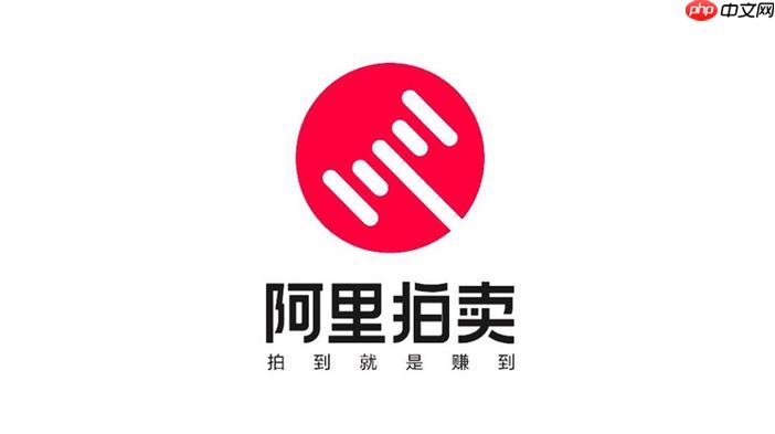 阿里资产拍卖官网入口 阿里拍卖司法频道访问地址  第1张