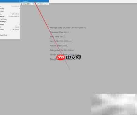 DataGrip连接Oracle数据库指南