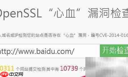 openssl漏洞检测工具使用指南  第3张