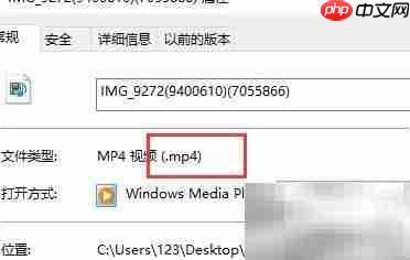 M4V转MP4方法指南  第10张