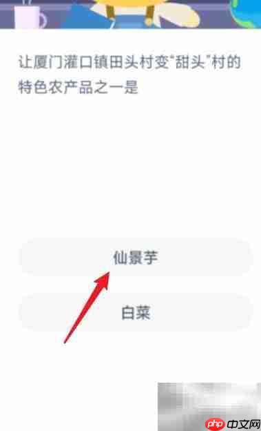 田头村变甜头村  第1张