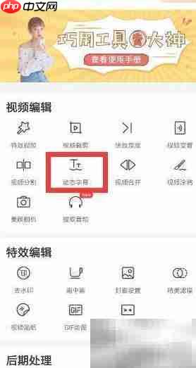 短视频动态字幕添加技巧  第9张
