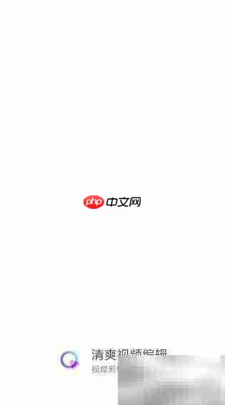 短视频动态字幕添加技巧  第8张