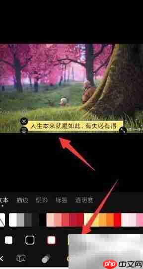 短视频动态字幕添加技巧  第13张