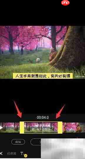 短视频动态字幕添加技巧  第15张