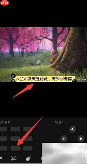 短视频动态字幕添加技巧  第14张