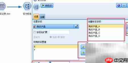SPSS Modeler设为标志技巧  第5张