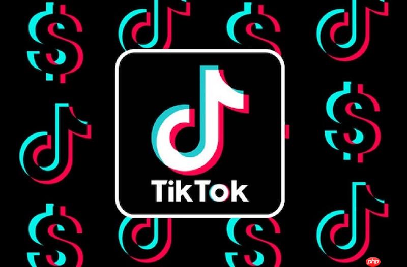 Tiktok免费在线入口 官方短视频入口