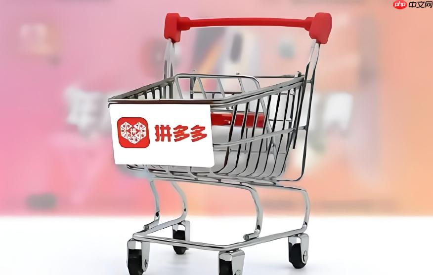 拼多多商家版电脑版官方下载_拼多多商家版电脑端官方下载安装教程