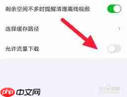 爱奇艺极速版怎样设置允许流量下载