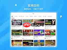 如何免费进入b站观看国产视频大片  第1张