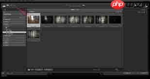 adobe photoshop lightroom怎么打开raw格式图像