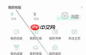 长佩阅读如何查看我的钱包  第2张