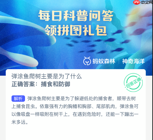 弹涂鱼爬树主要是为了什么