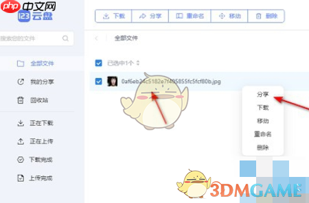 《123云盘》自定义提取码方法