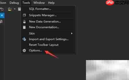 dbForge MySQL字体大小设置  第2张