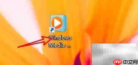 Win10 WMP禁止网络检索媒体信息
