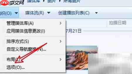 Win10 WMP禁止网络检索媒体信息  第3张