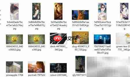 电脑去水印工具使用教程  第6张