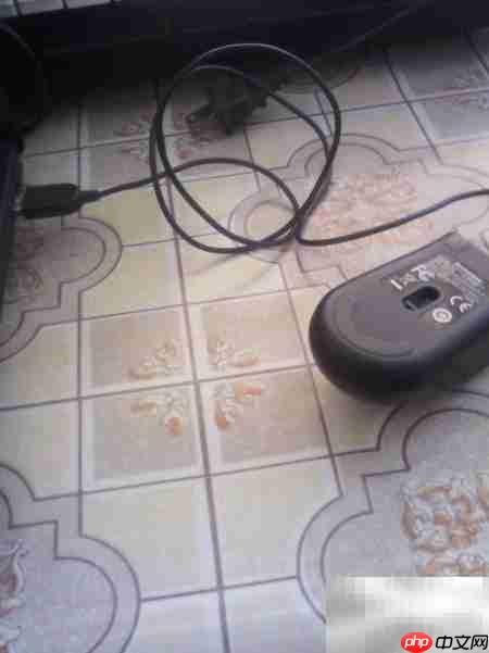 鼠标插上不亮？快速解决方法