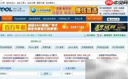 站长工具查网站  第2张