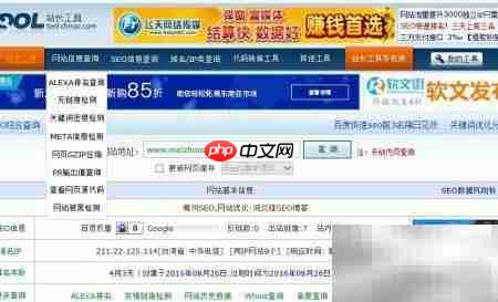 站长工具查网站  第4张