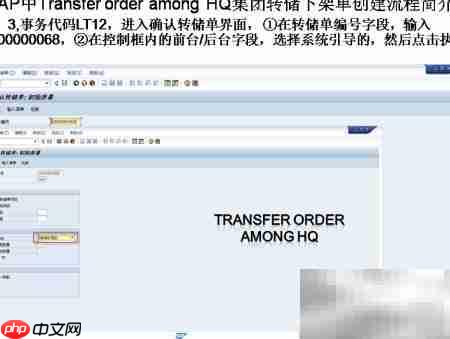 SAP转储下架单创建 第3张 SAP转储下架单创建 第3张
