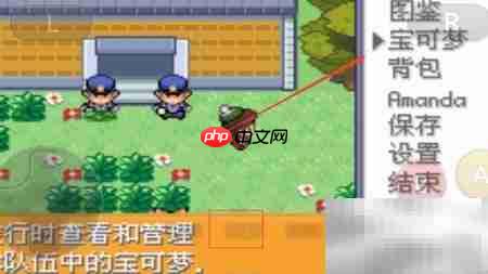 口袋妖怪剑盾极巨化方法