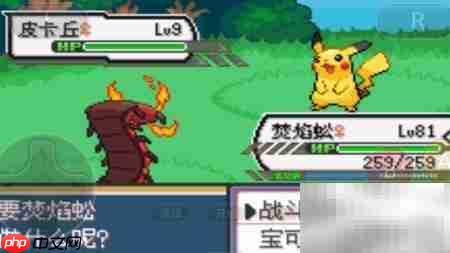 口袋妖怪剑盾极巨化方法  第4张