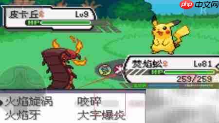 口袋妖怪剑盾极巨化方法  第5张