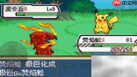 口袋妖怪剑盾极巨化方法  第6张