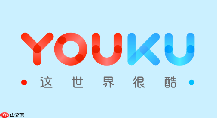 优酷如何查看完整的消费记录_优酷会员充值与消费明细查询方法