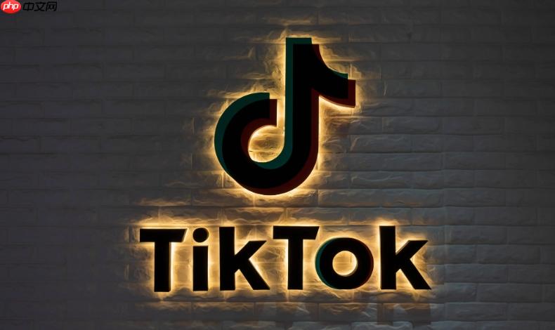 TikTok网页版账号登录教程 TikTok官方入口安全登录