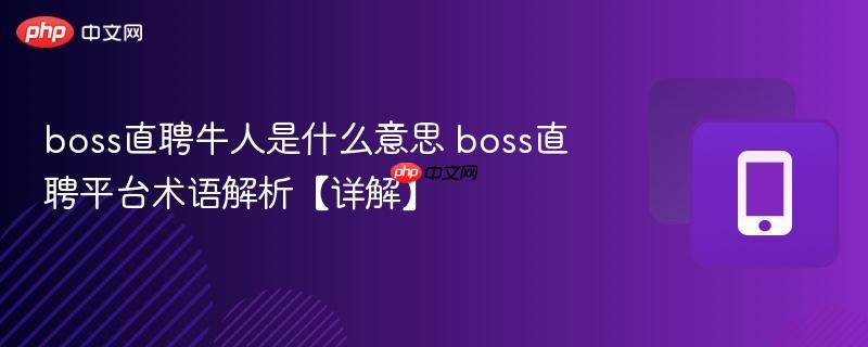 boss直聘牛人是什么意思 boss直聘平台术语解析【详解】  第1张