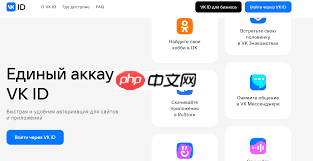 VKontakte常见问题有哪些  第1张