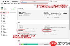 怎样把iTunes备份导入新手机