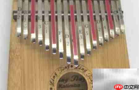 拇指琴入门教程  第2张