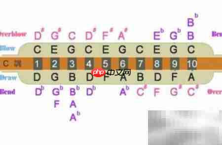 拇指琴入门教程  第3张