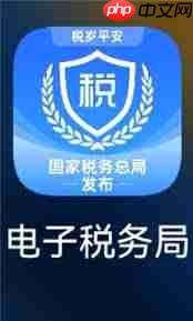 电子税务局网页版登录入口在哪